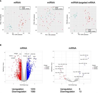 T cell dysfunction in elderly ARDS patients based on miRNA and mRNA integration analysis